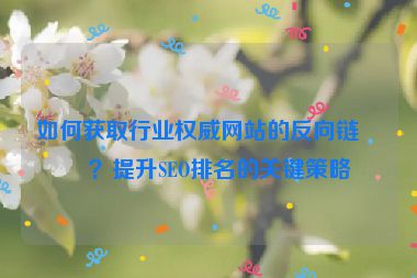 如何獲取行業(yè)權(quán)威網(wǎng)站的反向鏈接？提升SEO排名的關(guān)鍵策略