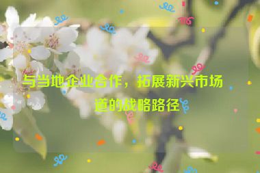 與當(dāng)?shù)仄髽I(yè)合作，拓展新興市場(chǎng)渠道的戰(zhàn)略路徑