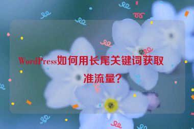 WordPress如何用長尾關(guān)鍵詞獲取精準(zhǔn)流量？